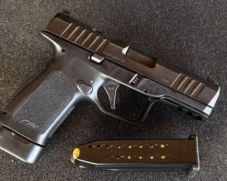 Firearm In Texas industry insight