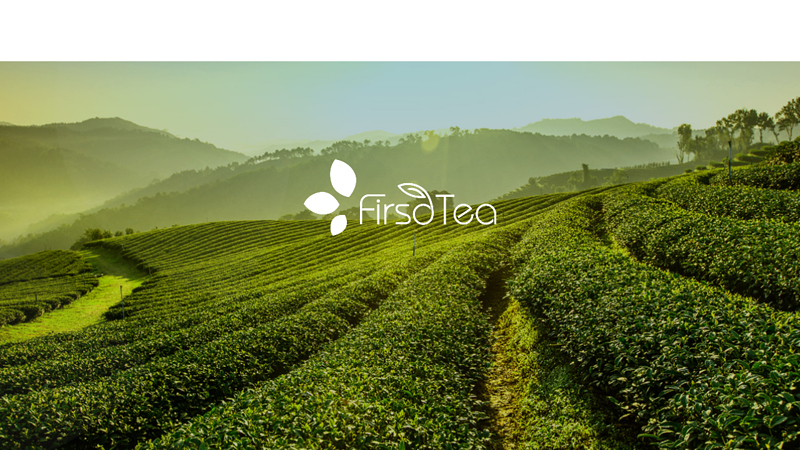 Firsd Tea