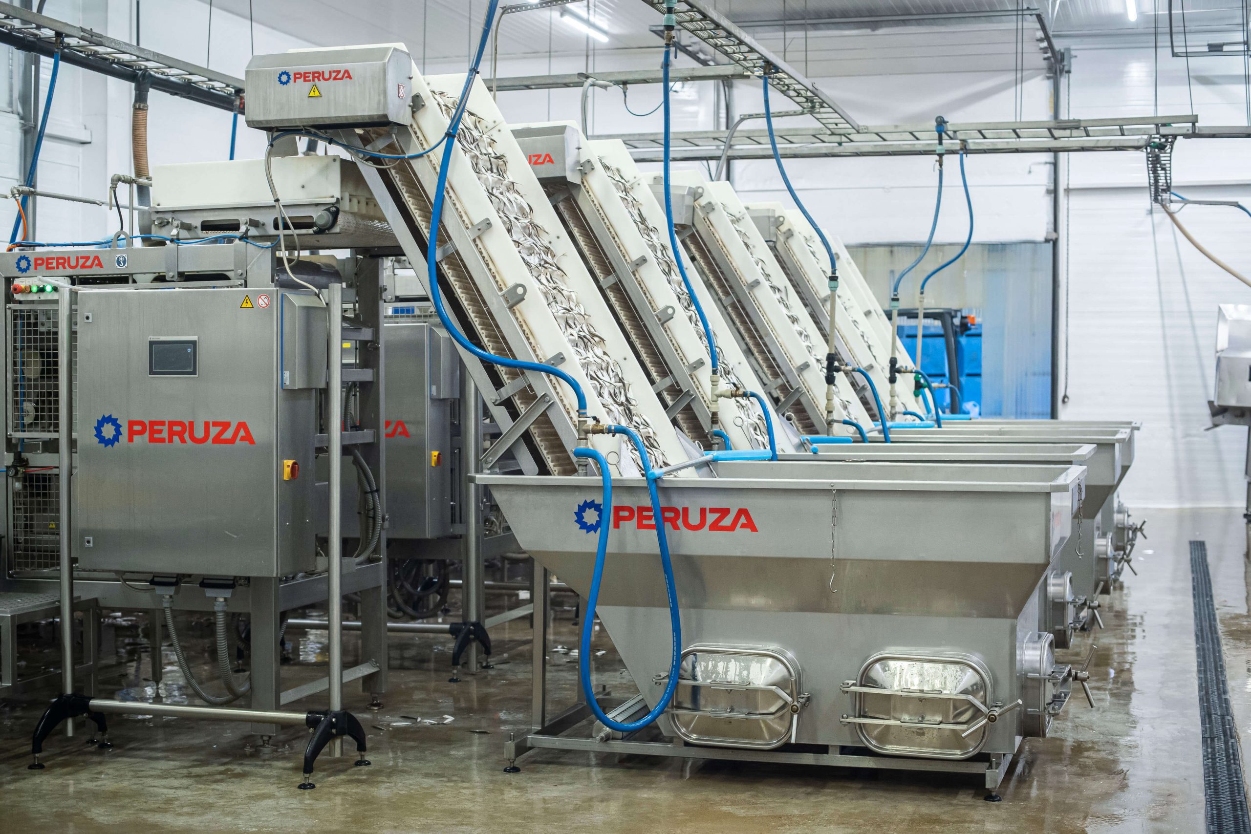 Fish industry insight