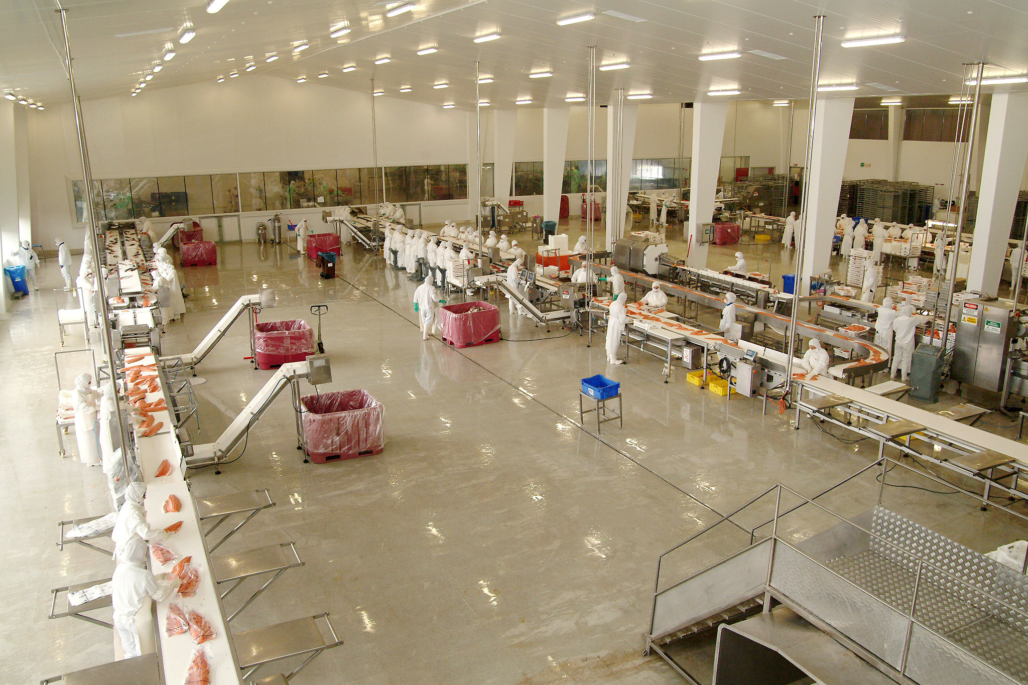 Fish industry insight