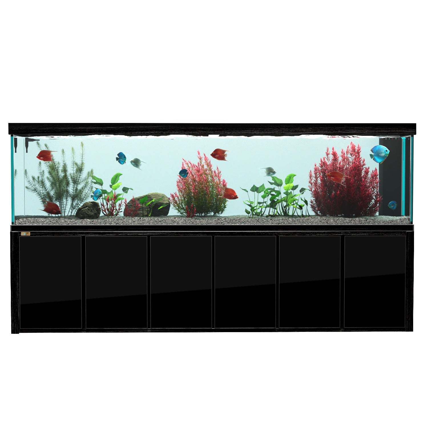 Fish Tanks