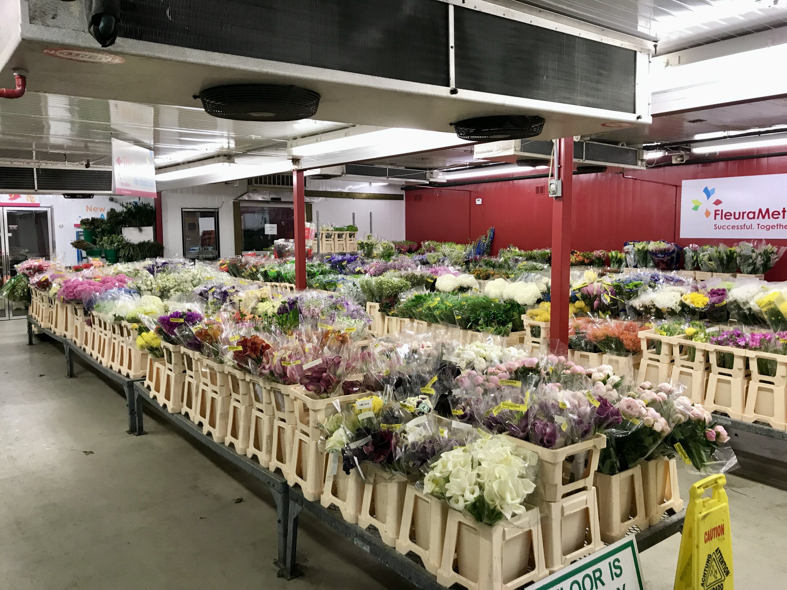 Florist  Toronto industry insight