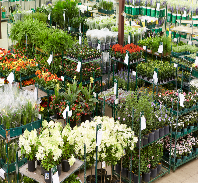 Florist  Toronto industry insight