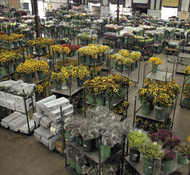Florist  Toronto industry insight