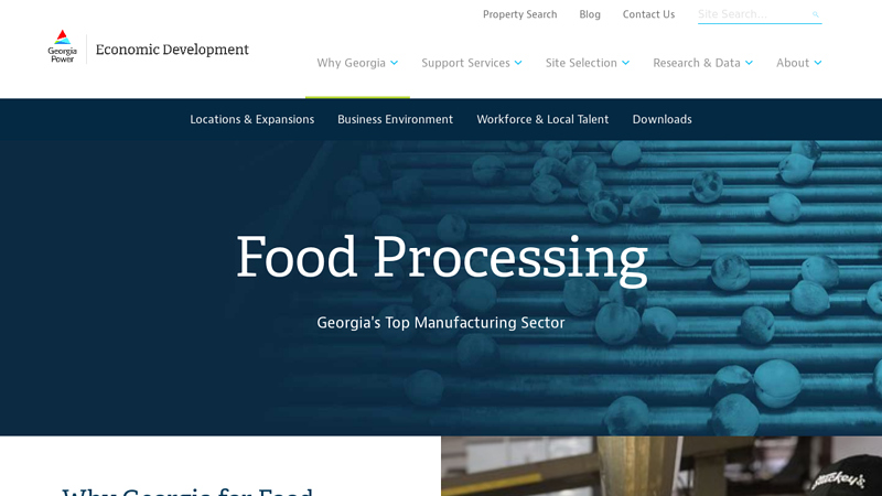 Food Processing in Georgia