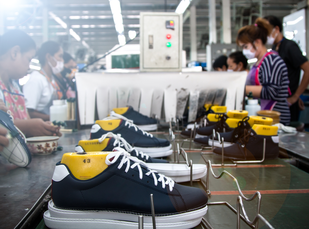 Footwear industry insight