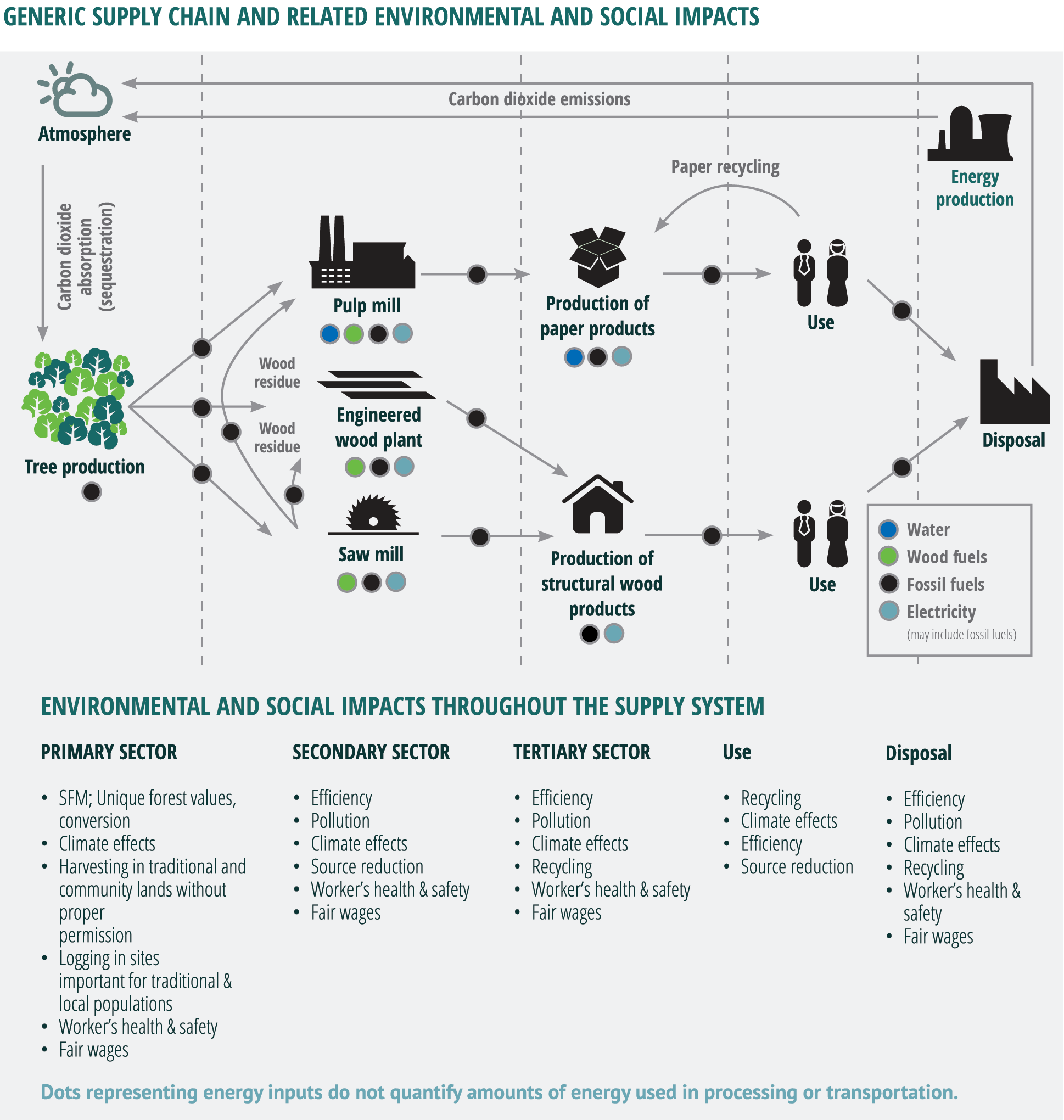Forestry industry insight