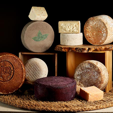 Forever Cheese