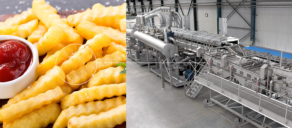 French Fries industry insight