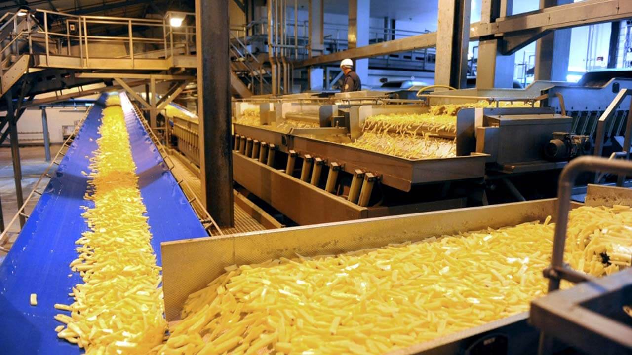 French Fries industry insight