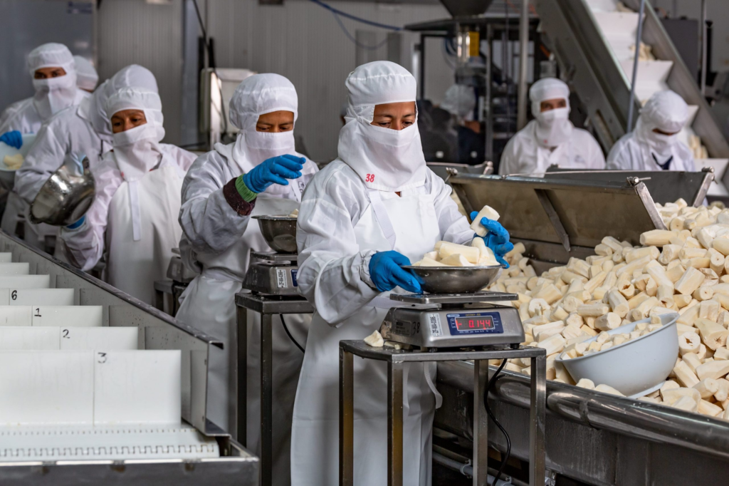 Frozen Goods industry insight