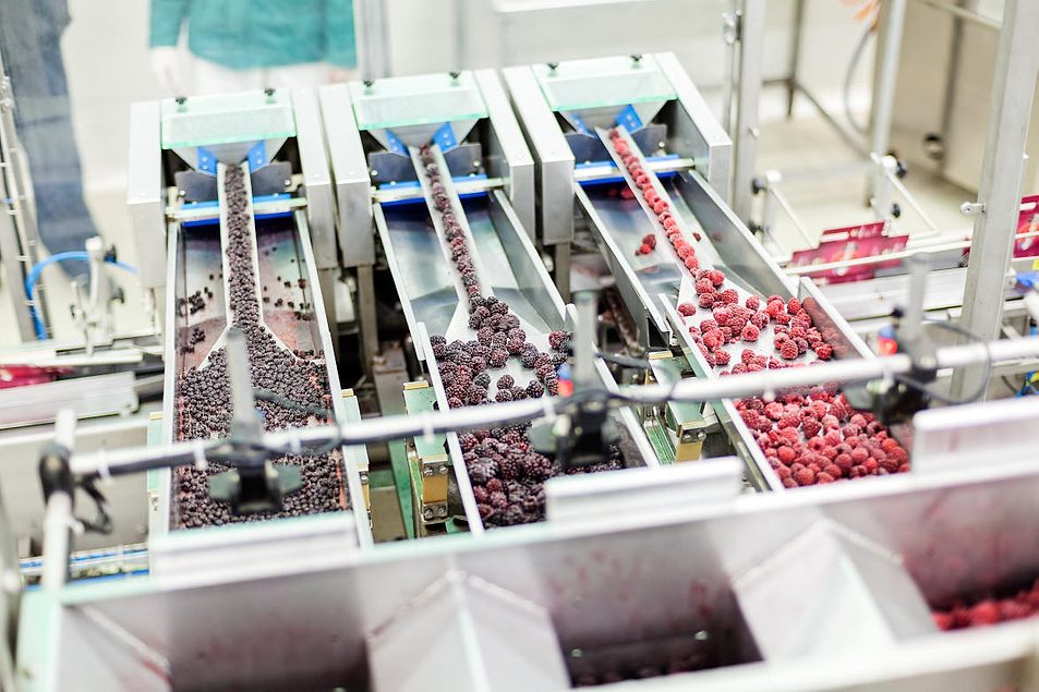 Frozen Goods industry insight