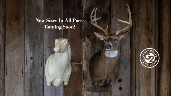 G2 Taxidermy Supply