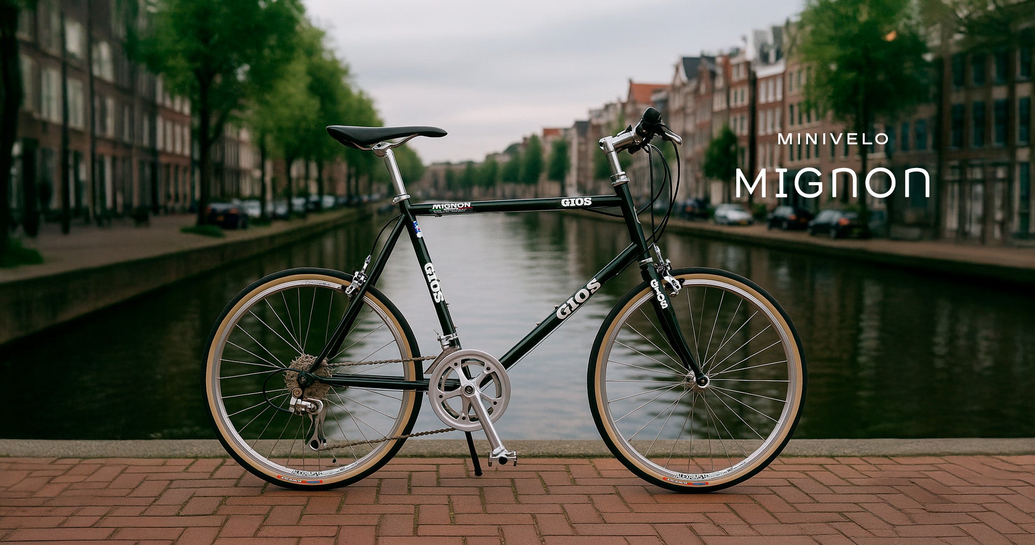 GIOS OFFICIAL
