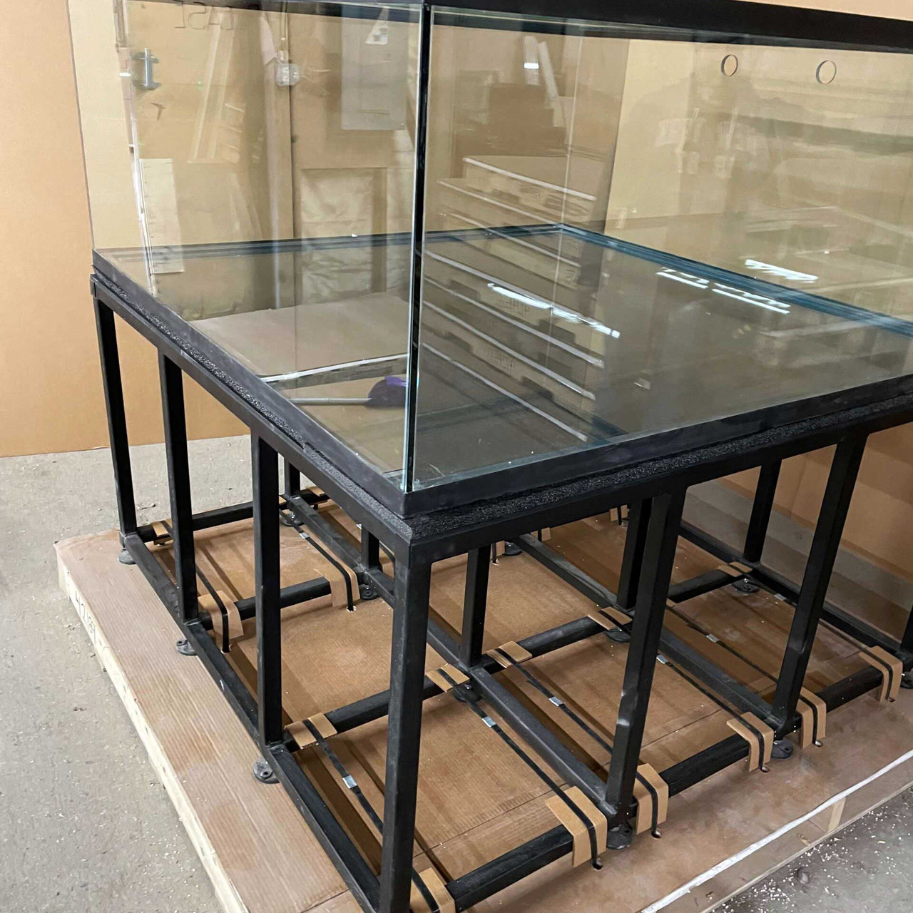 Glass Cages