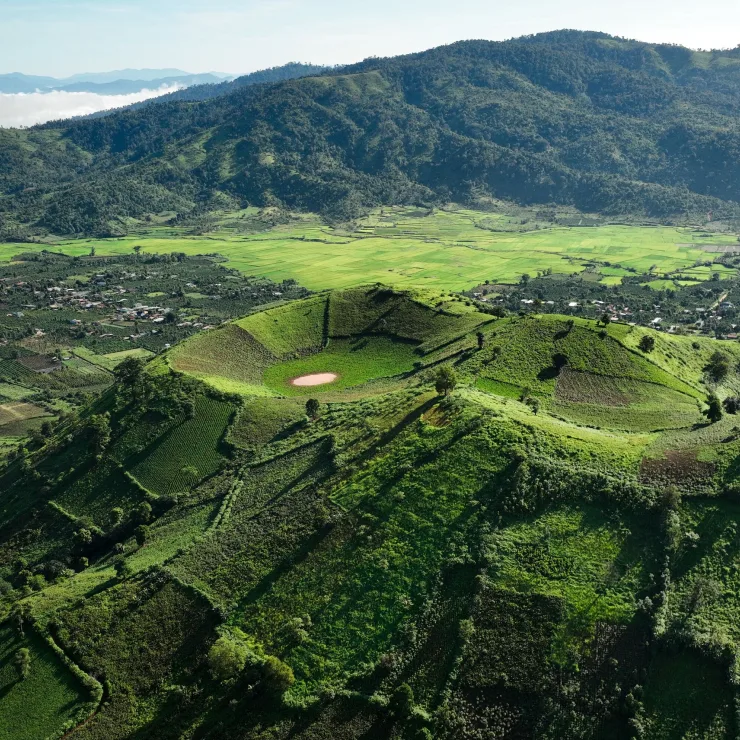 Global Food and Beverage Ingredient Supplier Driving Sustainable ...