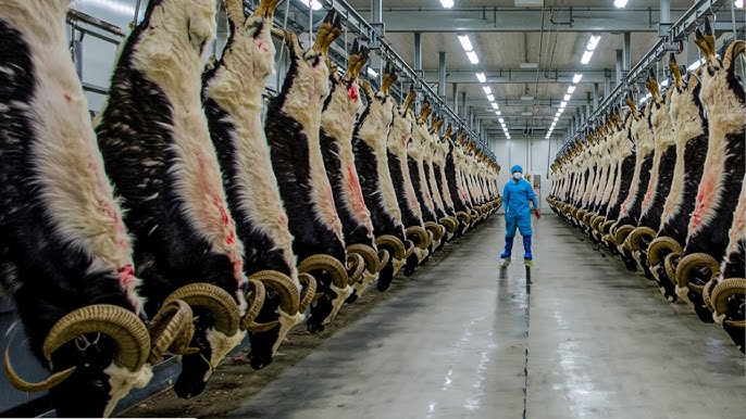 Goat industry insight