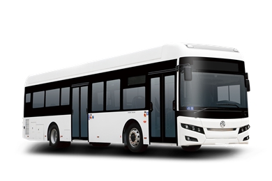 Golden Dragon Bus
