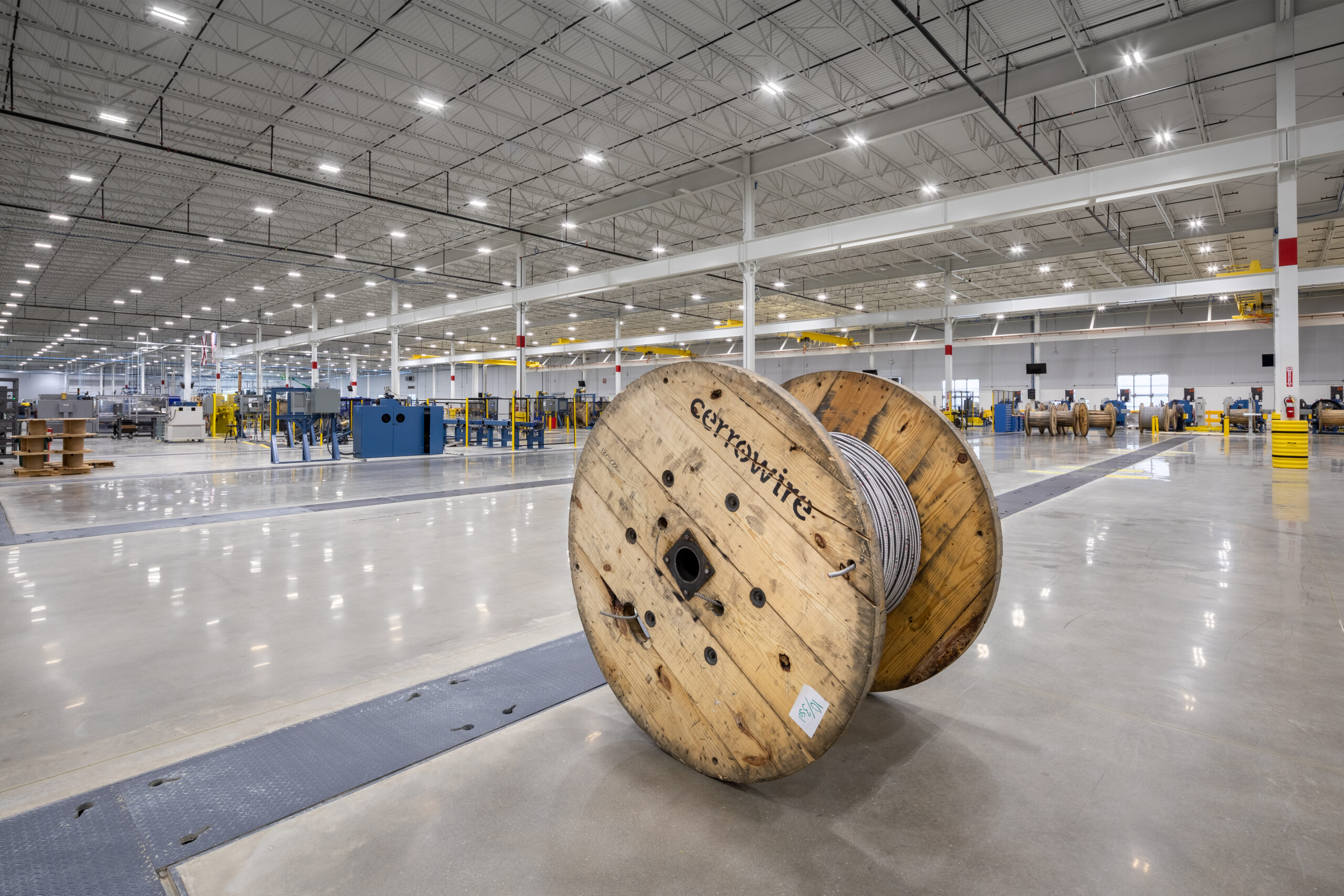 Gray Poplar industry insight