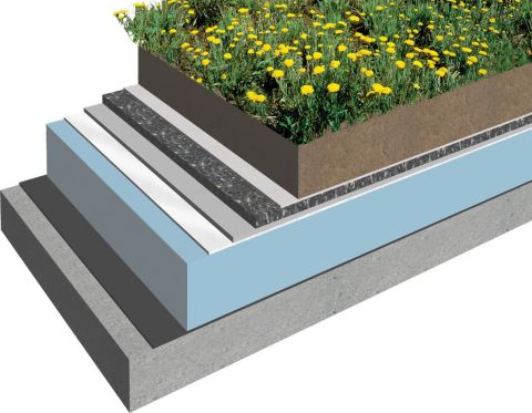 Green Roofing industry insight