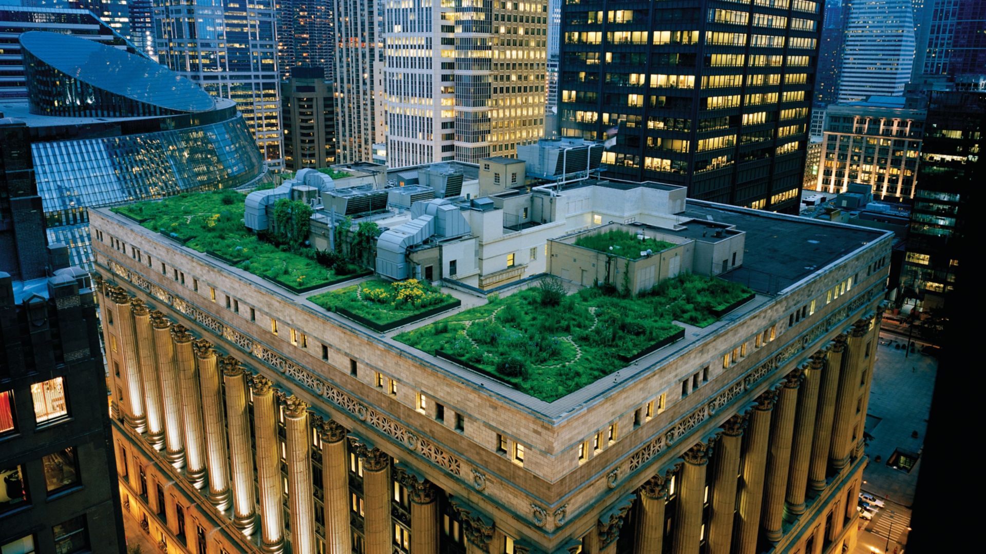 Green Roofing industry insight