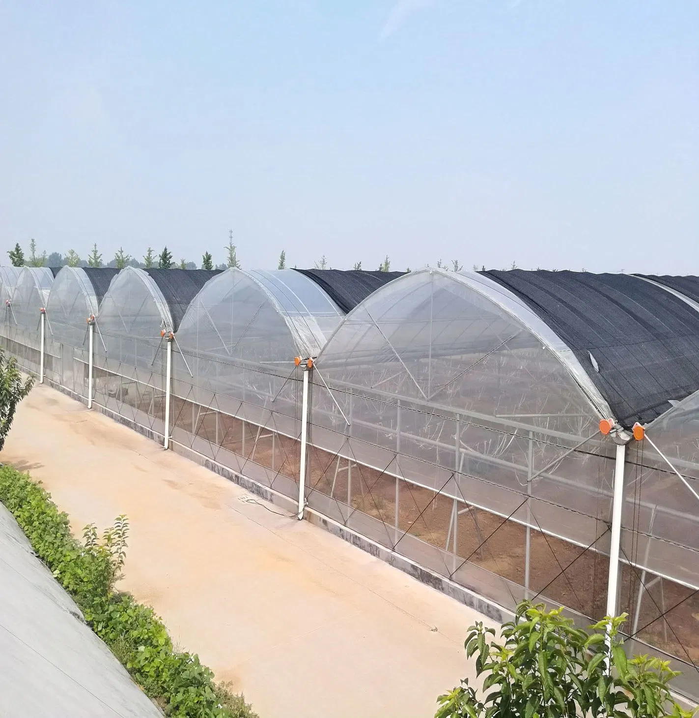 greenhouse from China Manufacturers