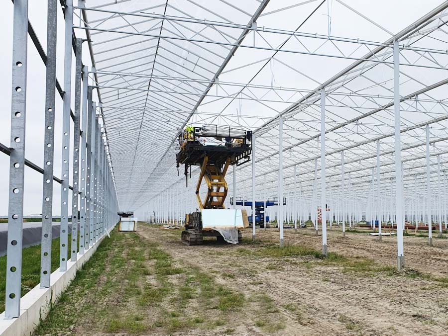 Greenhouse industry insight