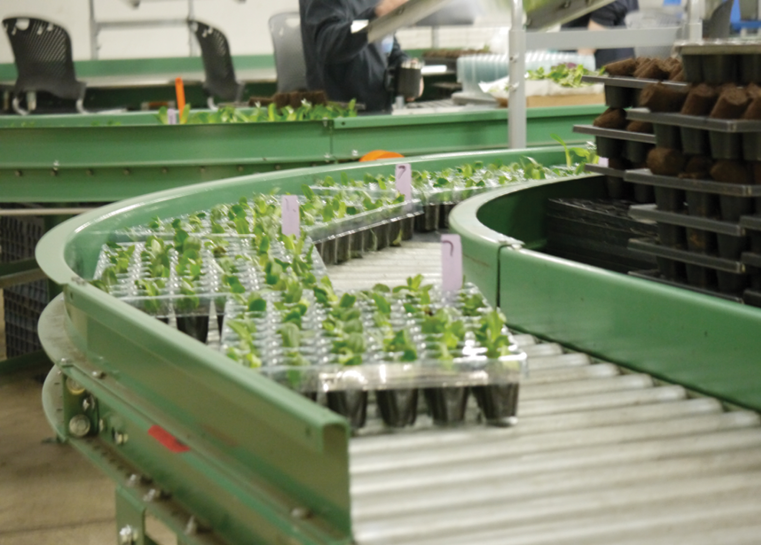Greenhouse industry insight