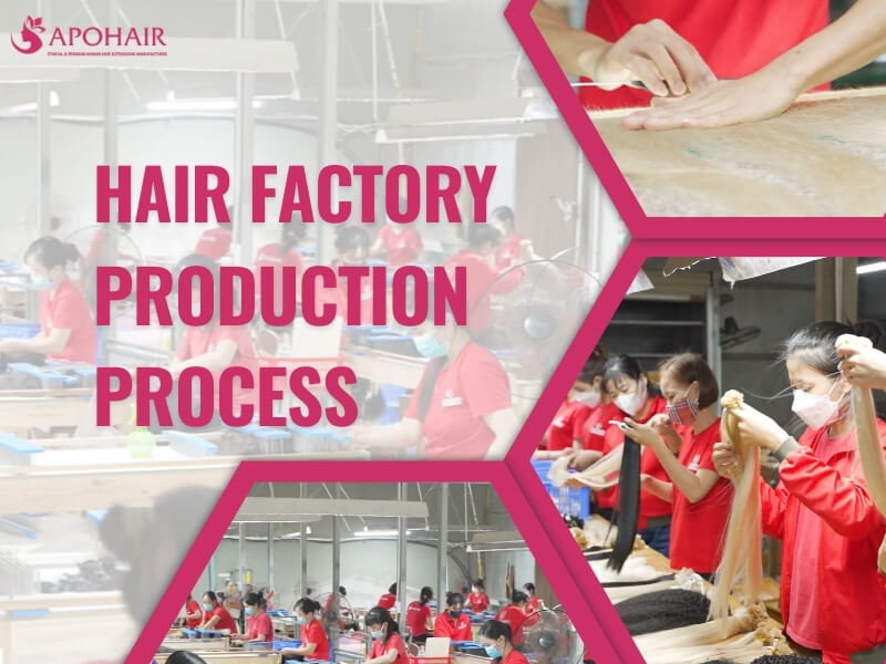 Hair Extension industry insight