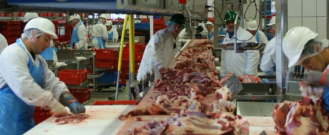 Halal Meat industry insight