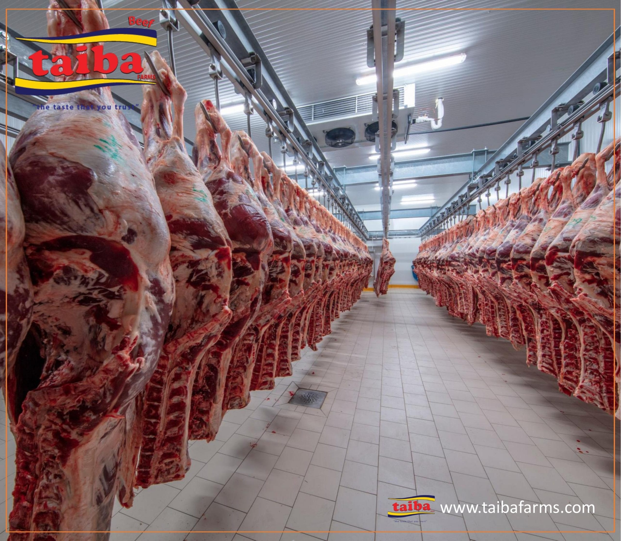 Halal Meat industry insight