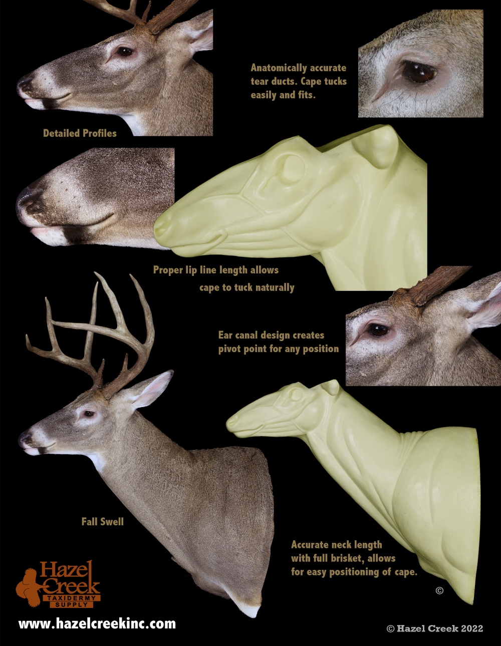 Hazelcreek Taxidermy Supply