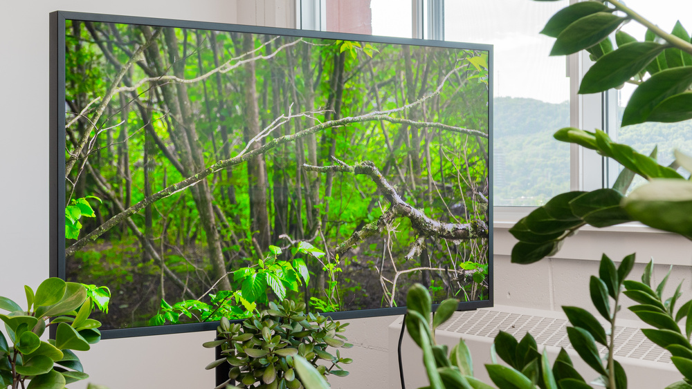 HDTV
