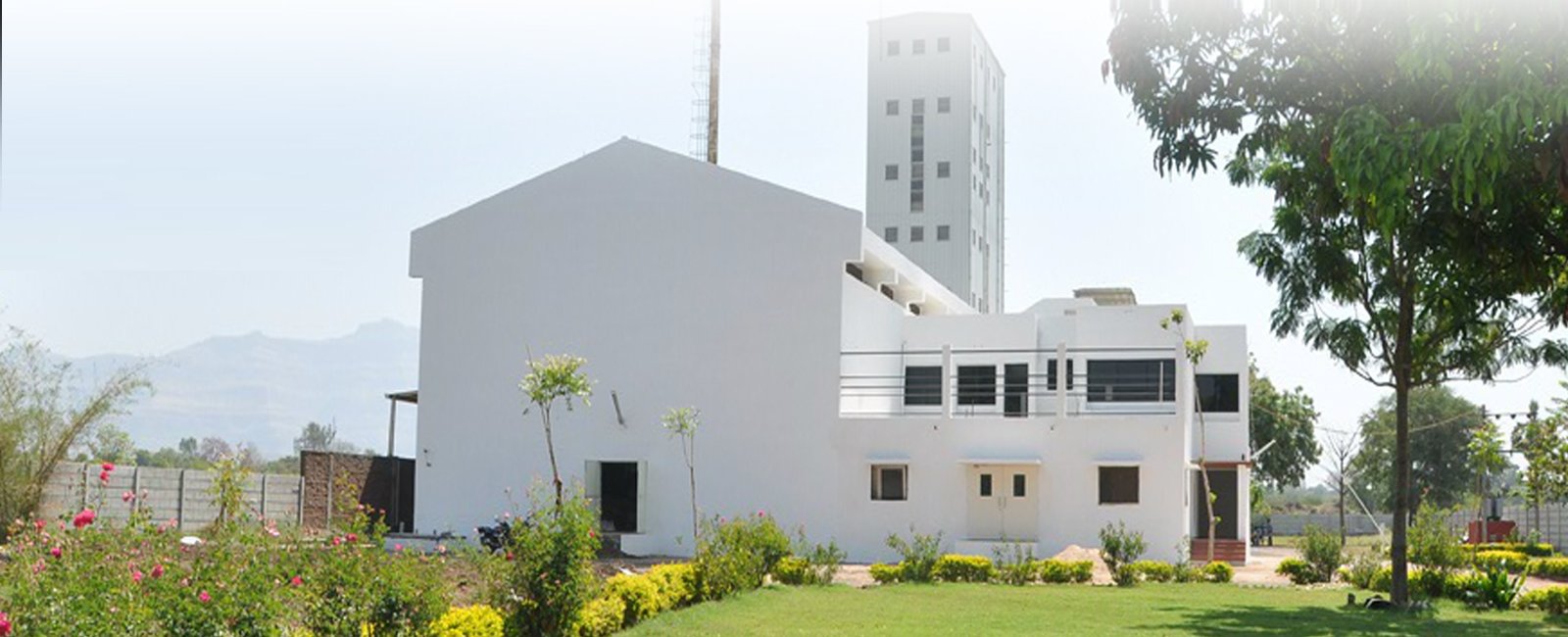Herbal Extracts Manufacturers
