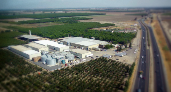 Horizon Nut Co.
