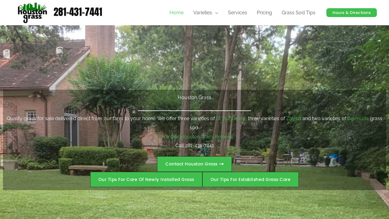 Houston Grass