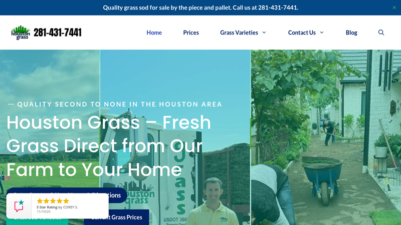 Houston Grass