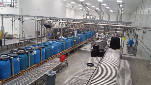 Huy Fong industry insight