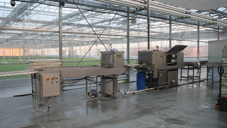 Hydroponics industry insight