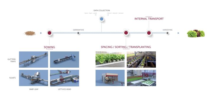Hydroponics industry insight