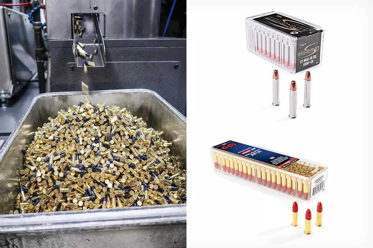 Idaho Gun industry insight