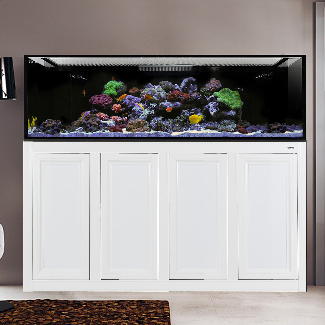 Innovative Marine - Saltwater Aquariums