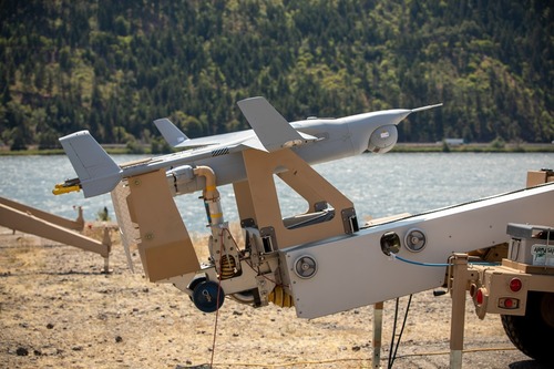 Insitu