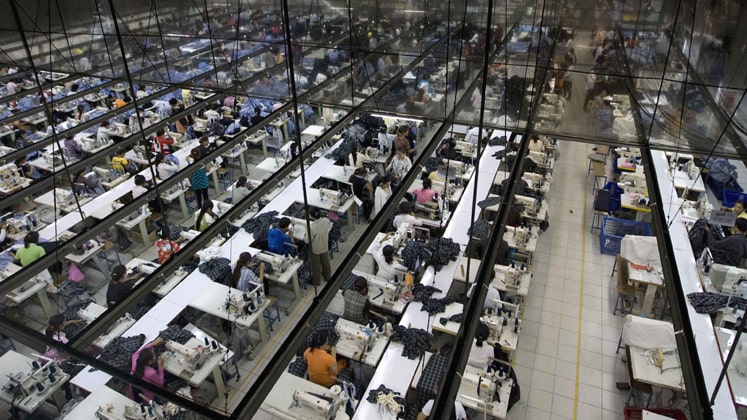 Italian Garment industry insight