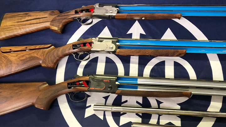 Italian Shotgun industry insight