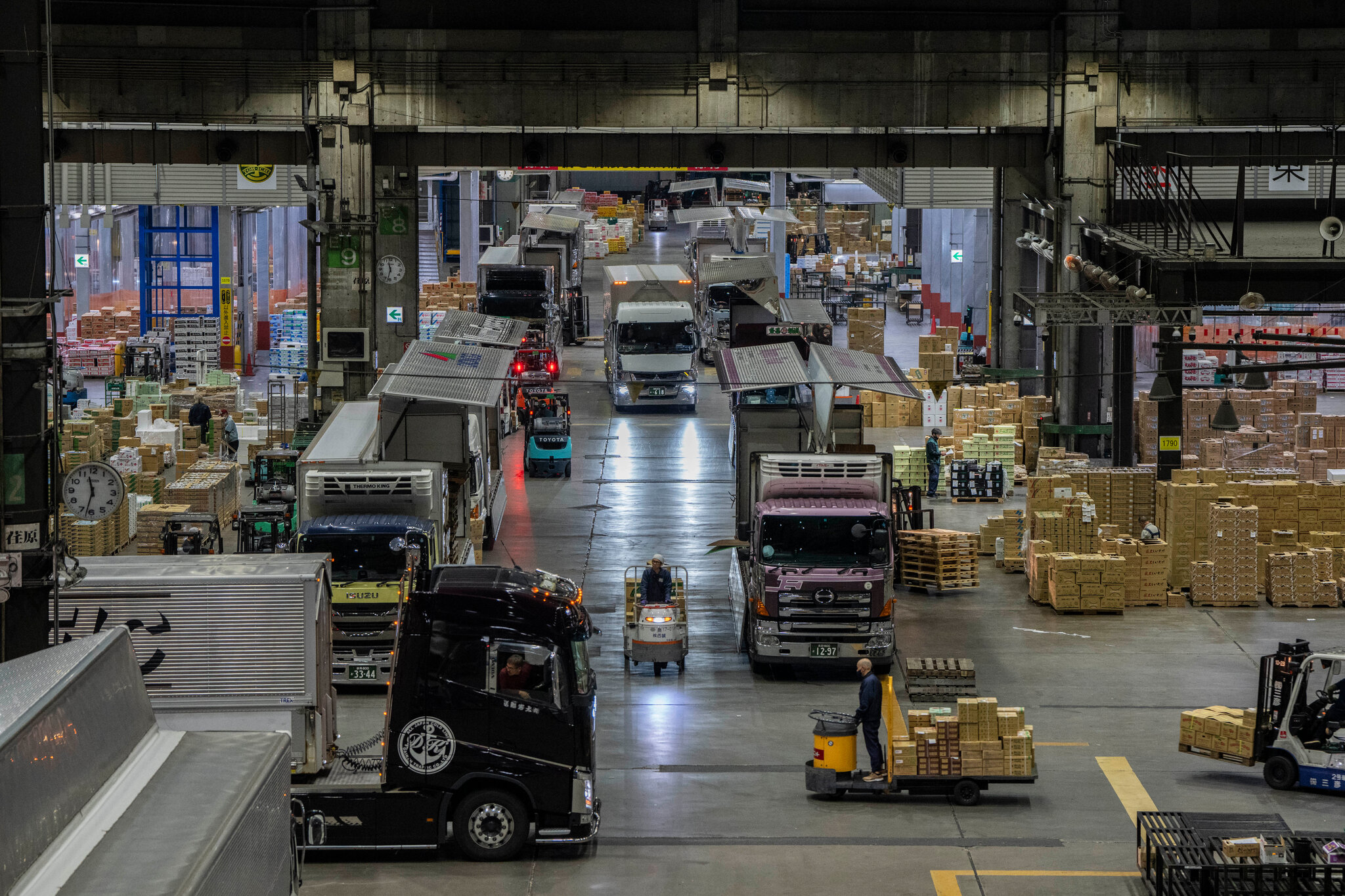 Japanese Truck Nyt industry insight