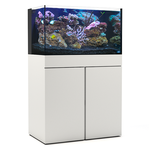 JBJ Aquariums
