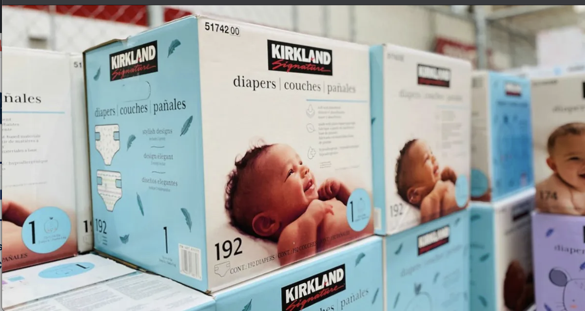 Kirkland Diapers industry insight