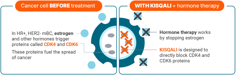 Kisqali industry insight