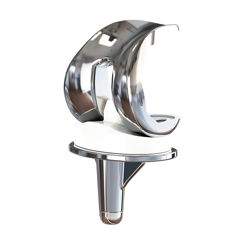 Knee Replacement industry insight